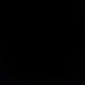 Meet your Posher, Daisy